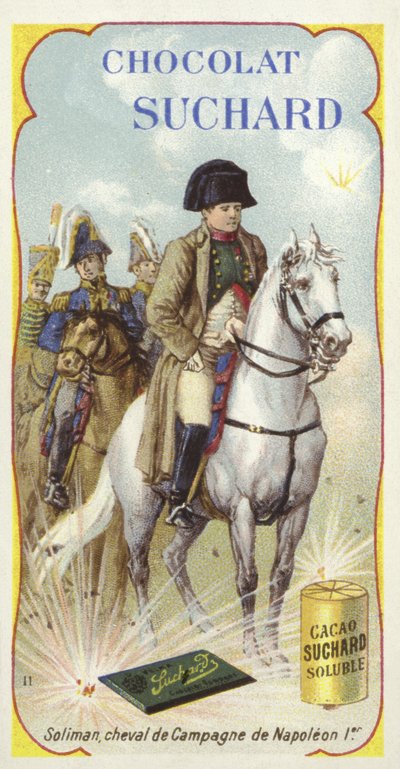 Soliman, cheval de guerre de Napoléon - European School